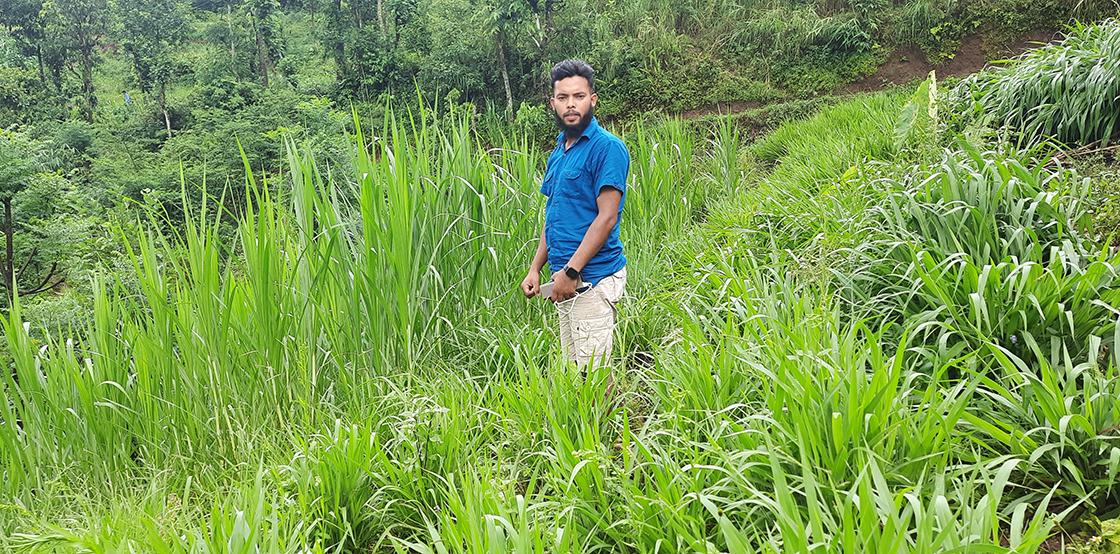 आलेख : ‘सम्भावना खाडीमा होइन, झाडीमा भेटिन्छ’